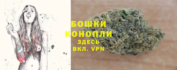 дмт Гусь-Хрустальный