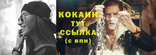 амф Гусиноозёрск