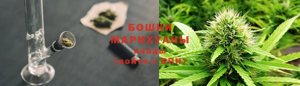 амф Гусиноозёрск