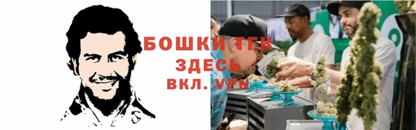 амф Гусиноозёрск