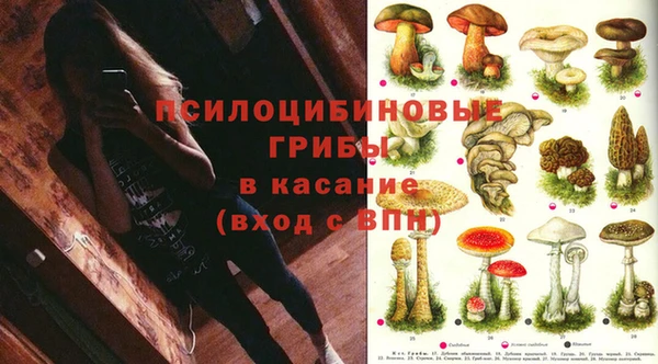амф Гусиноозёрск