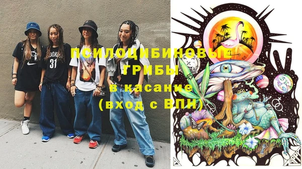 дмт Гусь-Хрустальный
