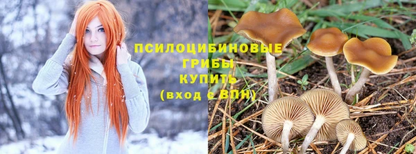 таблы Дмитровск
