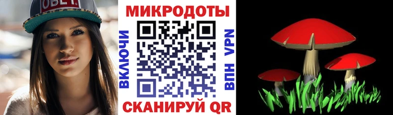Купить где  Кингисепп  Псилоцибиновые грибы GOLDEN TEACHER 